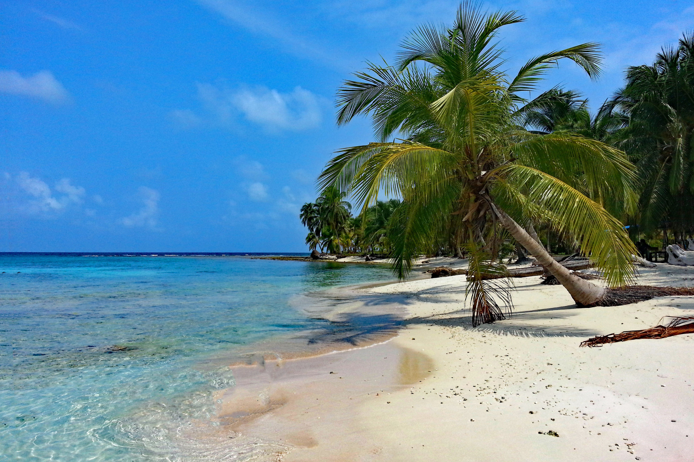 playa panama (4).webp